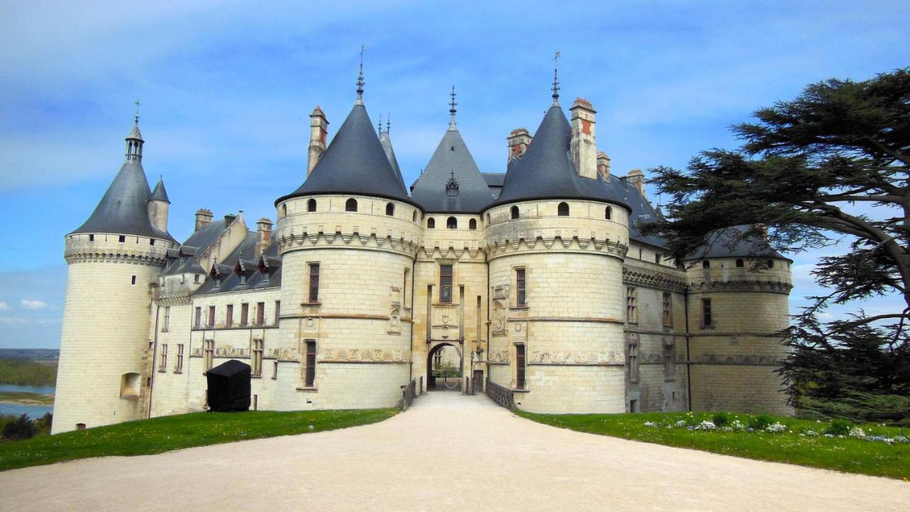 La Casa D'Olianna - Jolie Maison / Jeux / Grand Jardin Villeny Bagian luar foto